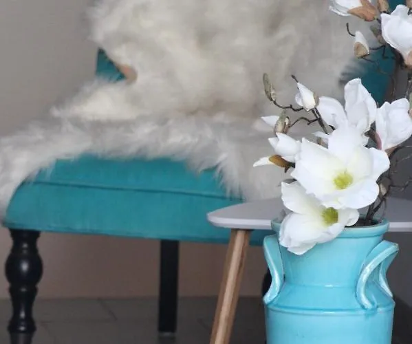 Ferienapartment Alma *